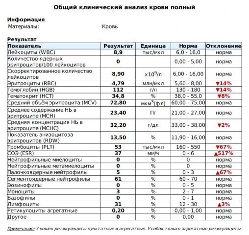 Селезенка анализы крови