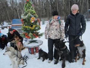 дрессировка собак в северном округе