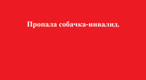  Пропала  собака-инвалид в Самарском районе г. Днепропетровск - 26.10.2015г. 