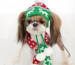 top-quality-dog-christmas-hat-dog-scarf-cap-best-xmas-gift-for-ur-dogs-220333.jpeg