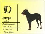 визитка для собаки