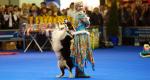 World Dog Show 2016