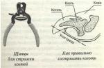 Собачий маникюр