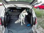 Автогамаки для перевозки собак в автомобиле