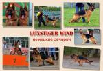 питомник немецких овчарок Gunstiger Wind