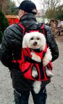 Переноска-рюкзак для собаки