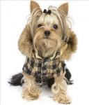 Интернет-магазин одежды и аксессуаров для маленьких собачек DogMic