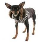 Интернет-магазин одежды и аксессуаров для маленьких собачек DogMic