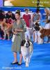 World dog show 2016