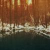 Аватар пользователя expecto patronum