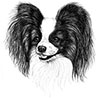 Аватар пользователя Papillion