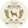 Аватар пользователя Ermingem