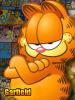 Аватар пользователя Garfield
